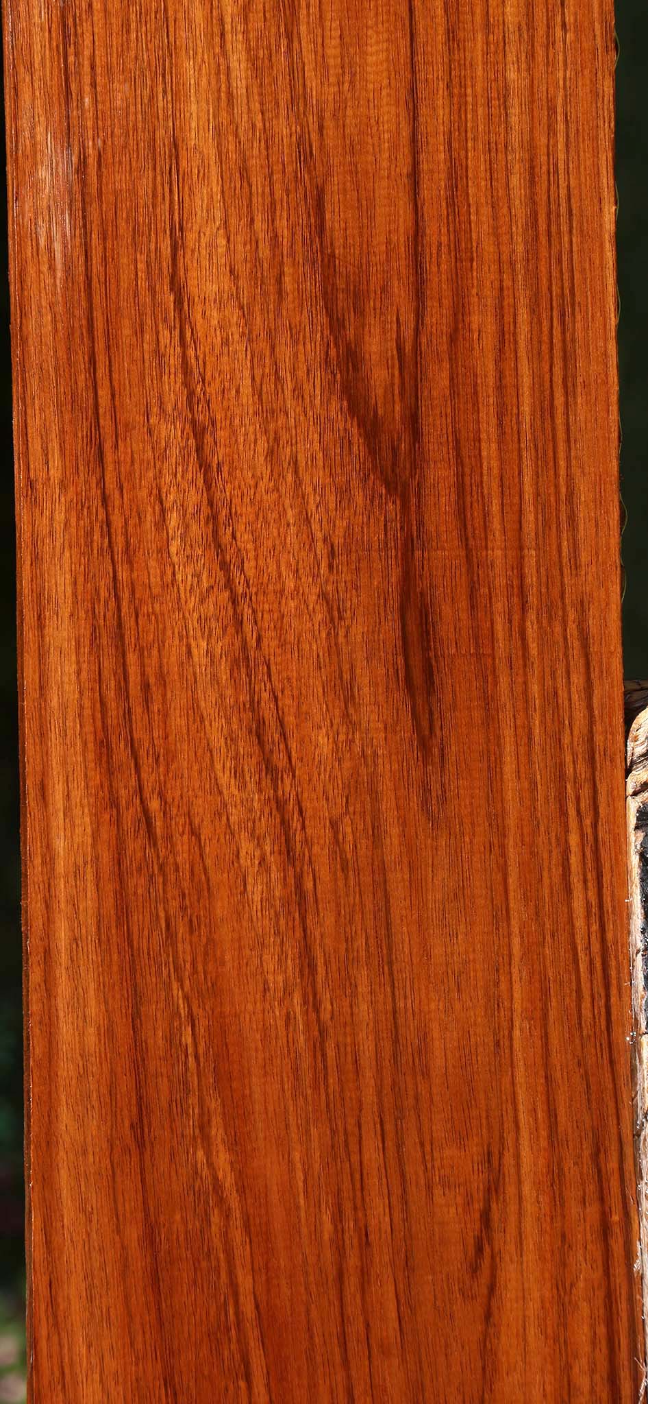 Tzalam Lumber