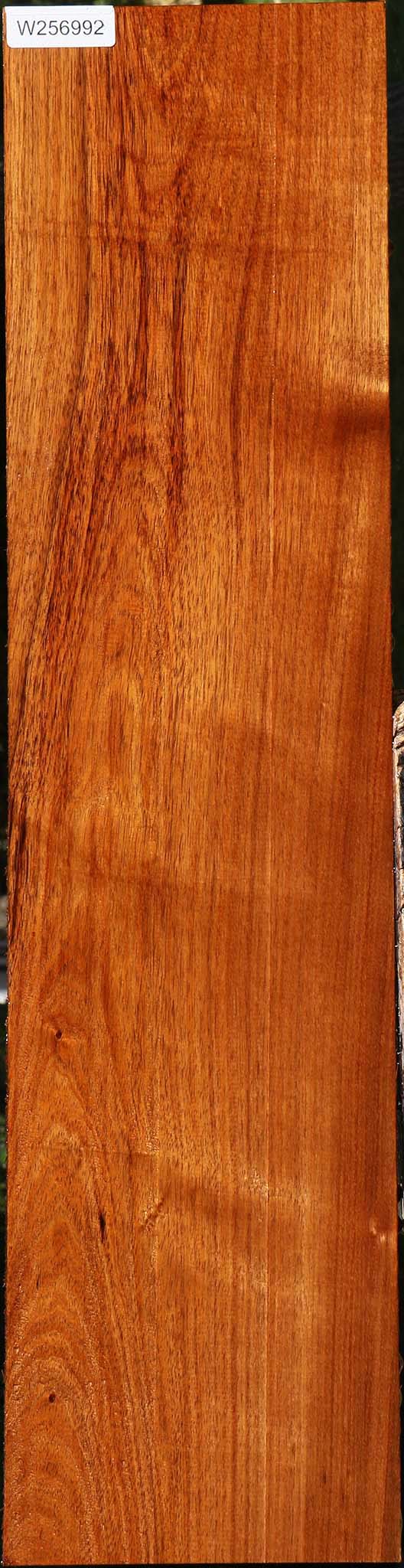Tzalam Lumber