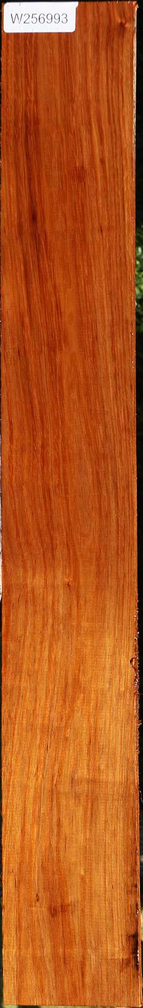 Tzalam Lumber