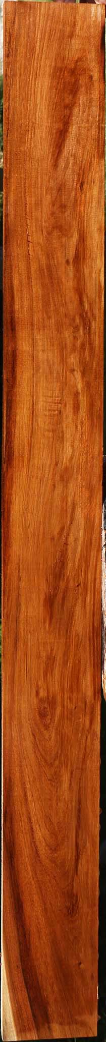 Tzalam Lumber