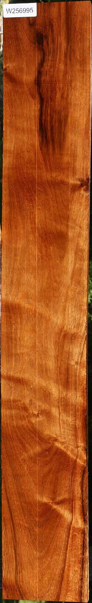 Tzalam Lumber