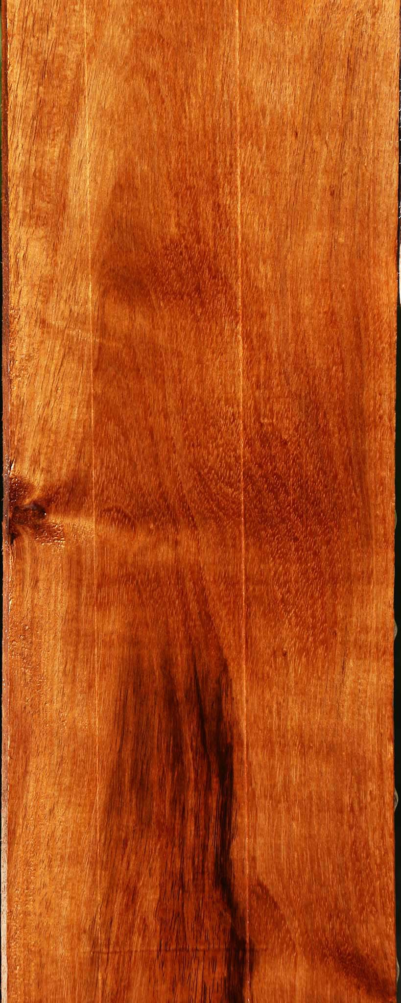 Tzalam Lumber