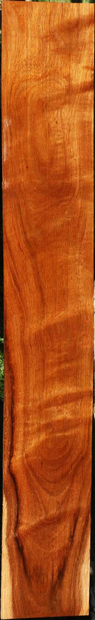 Tzalam Lumber