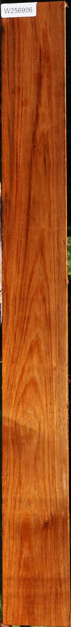 Tzalam Lumber