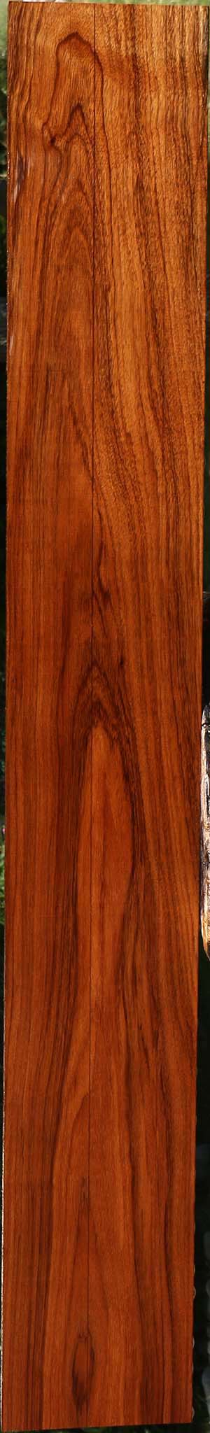 Tzalam Lumber