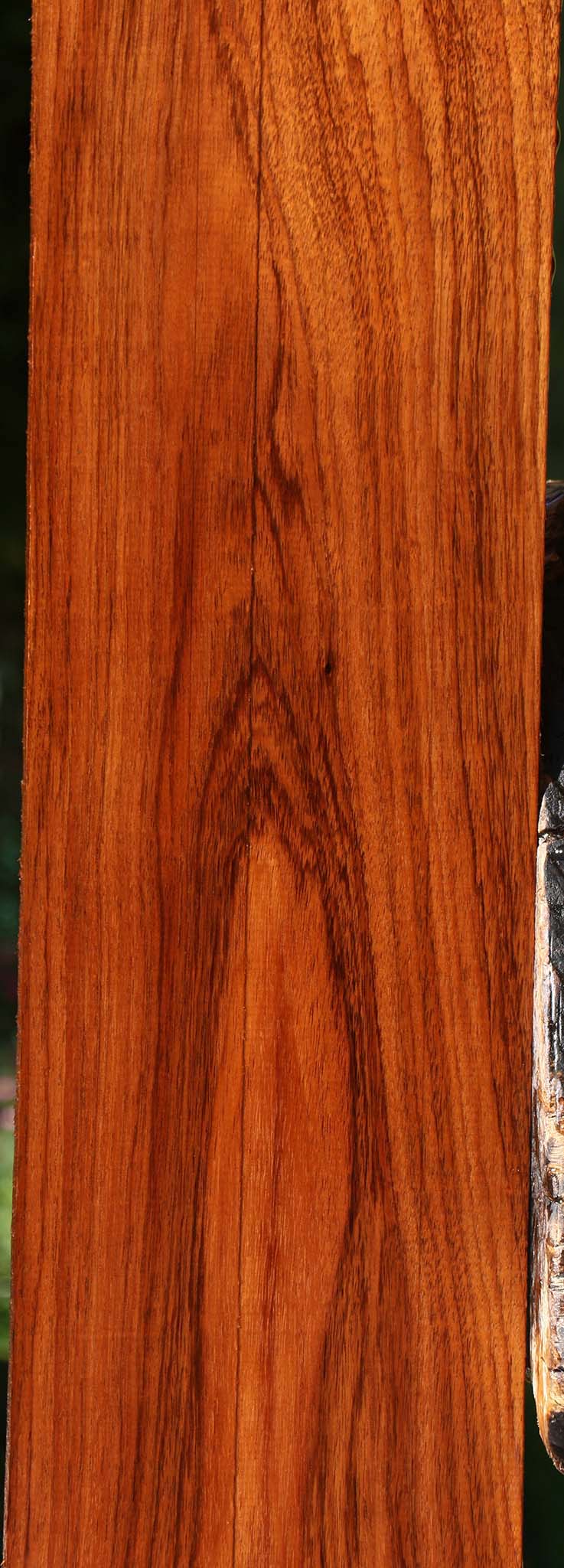 Tzalam Lumber