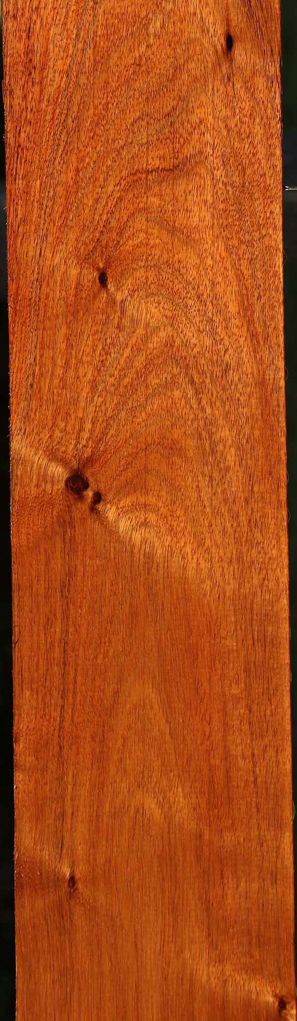 Tzalam Lumber