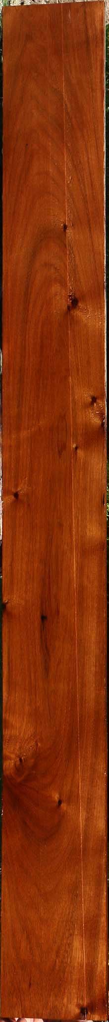 Tzalam Lumber