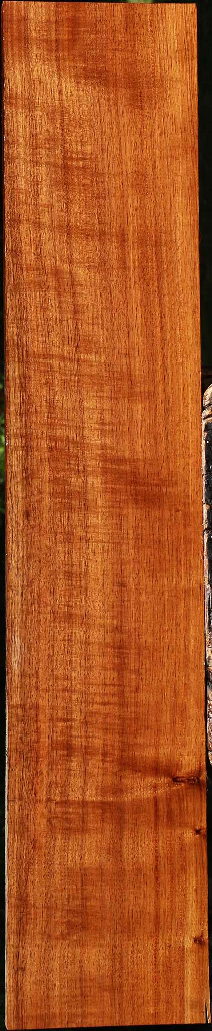 Extra Fancy Quartersawn Tzalam Lumber