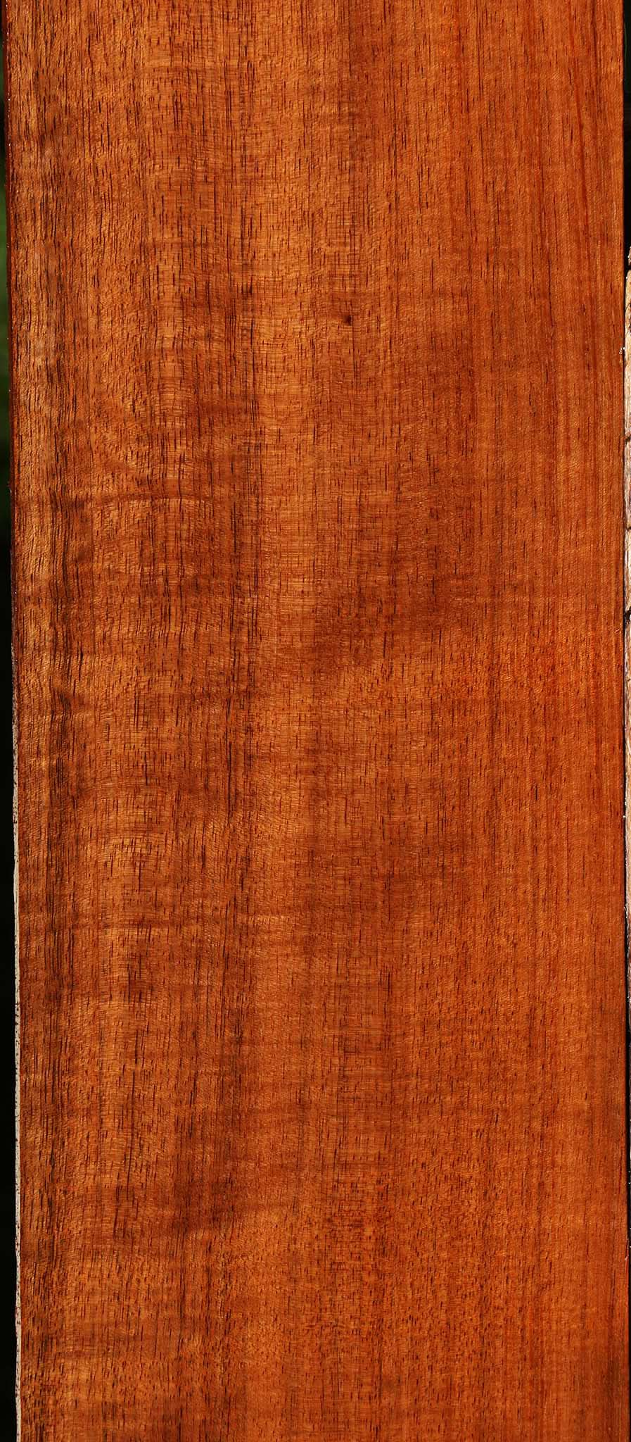 Extra Fancy Quartersawn Tzalam Lumber