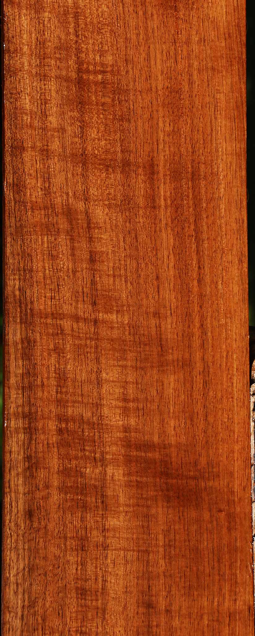 Extra Fancy Quartersawn Tzalam Lumber