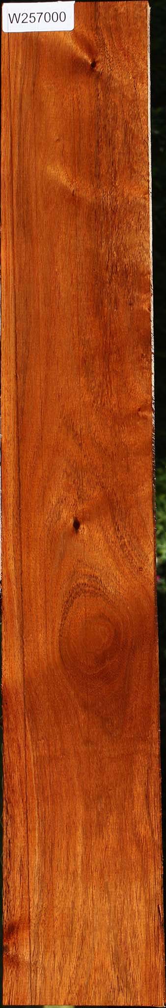 Tzalam Lumber