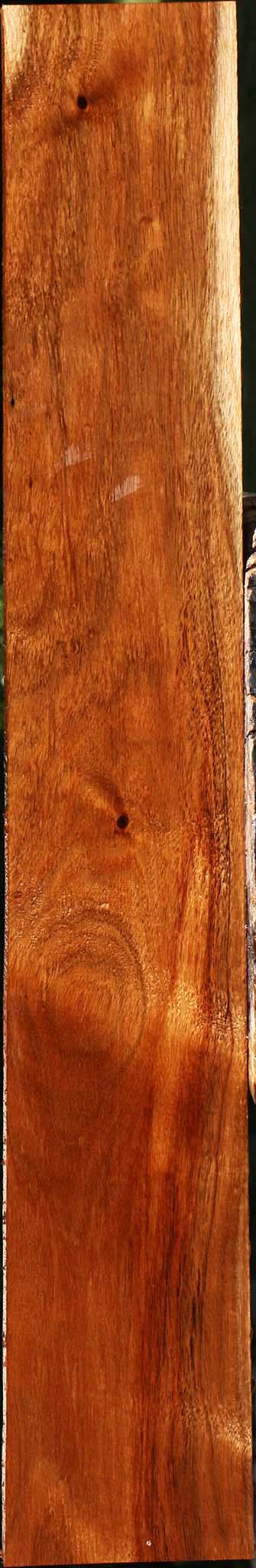 Tzalam Lumber