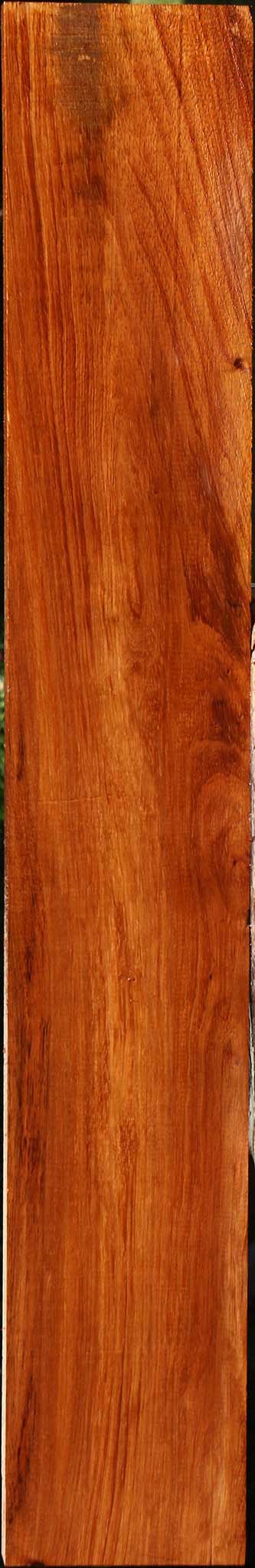 Tzalam Lumber