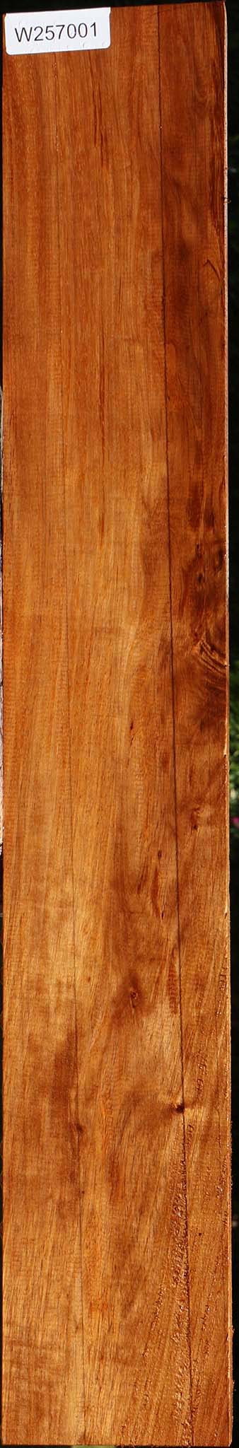 Tzalam Lumber