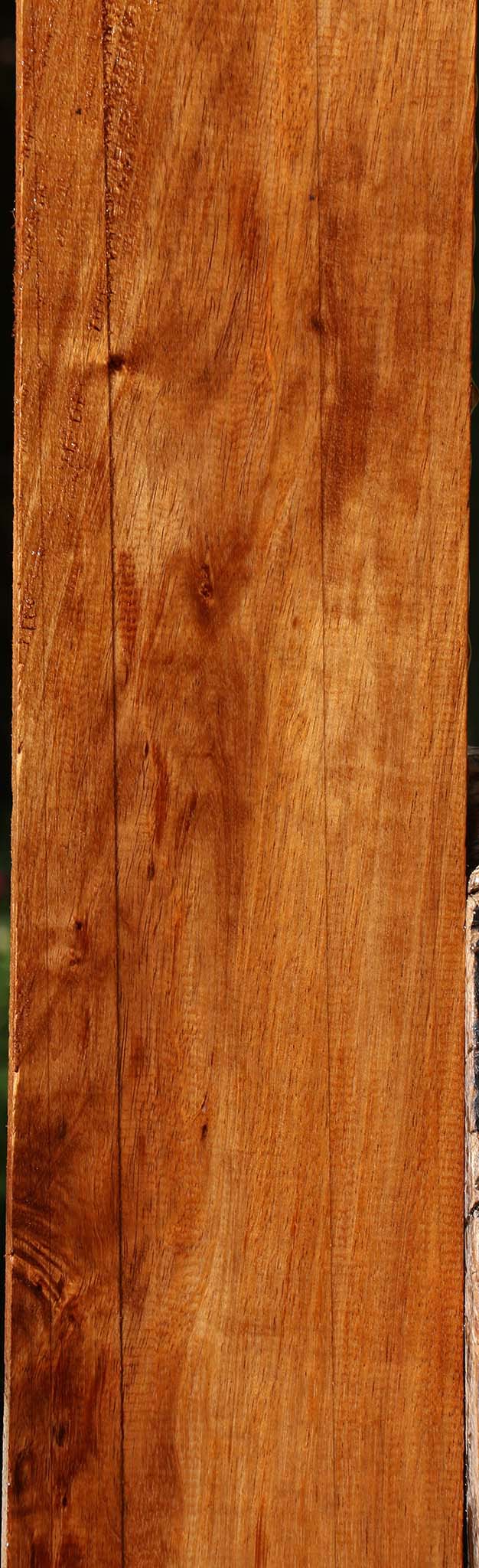 Tzalam Lumber