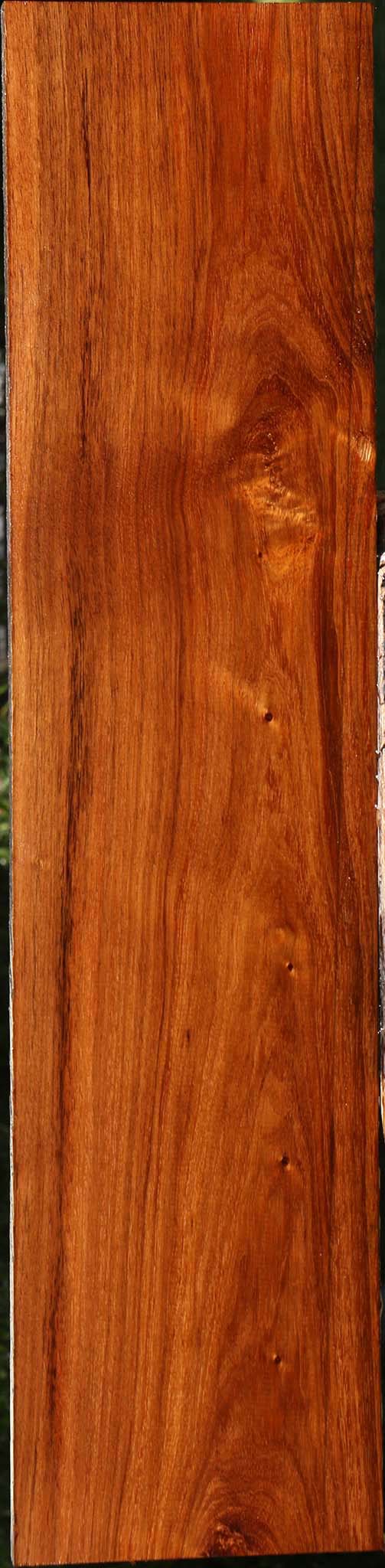 Tzalam Lumber