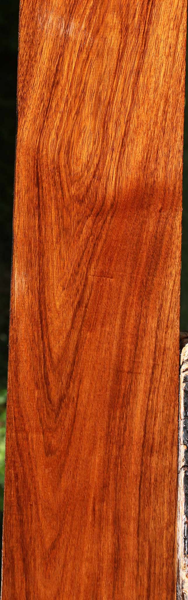Tzalam Lumber