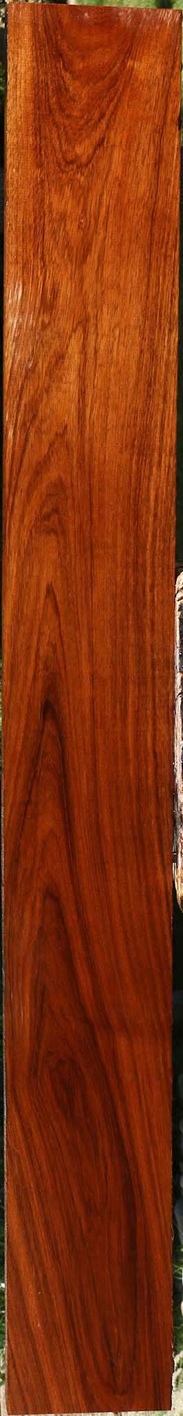 Tzalam Lumber