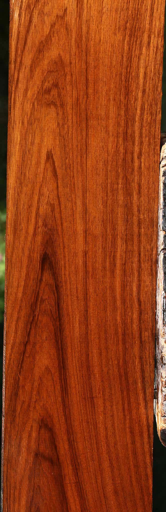 Tzalam Lumber
