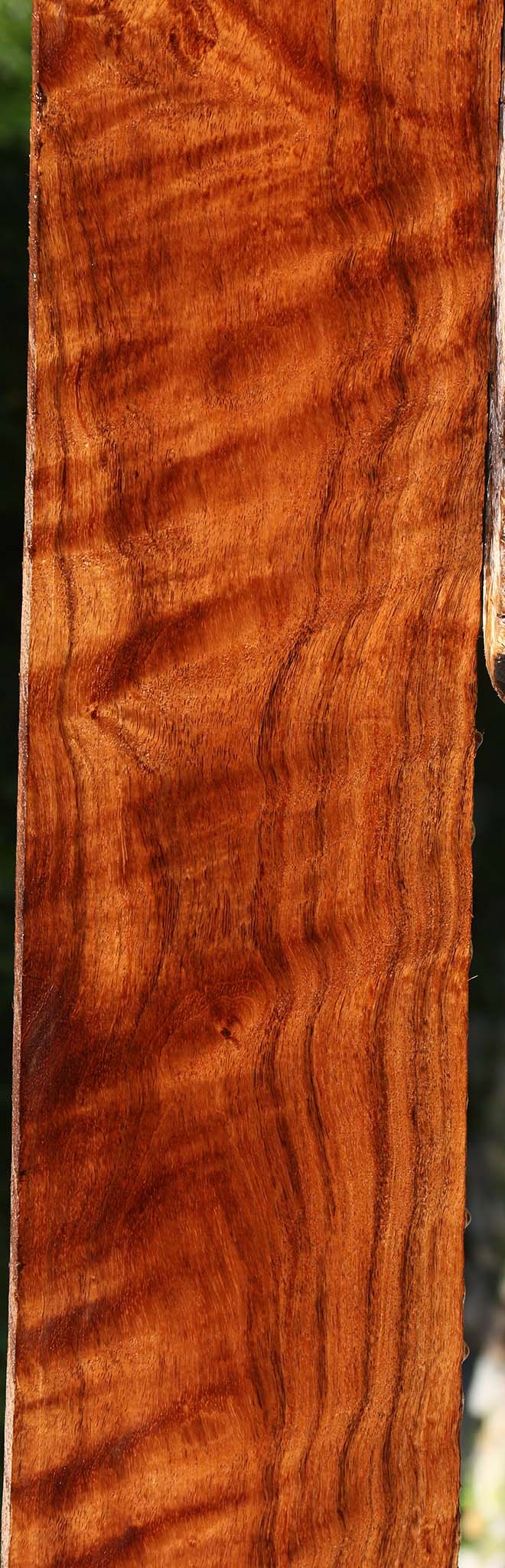 Extra Fancy Tzalam Lumber
