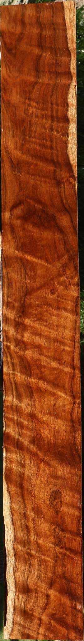 Extra Fancy Tzalam Lumber