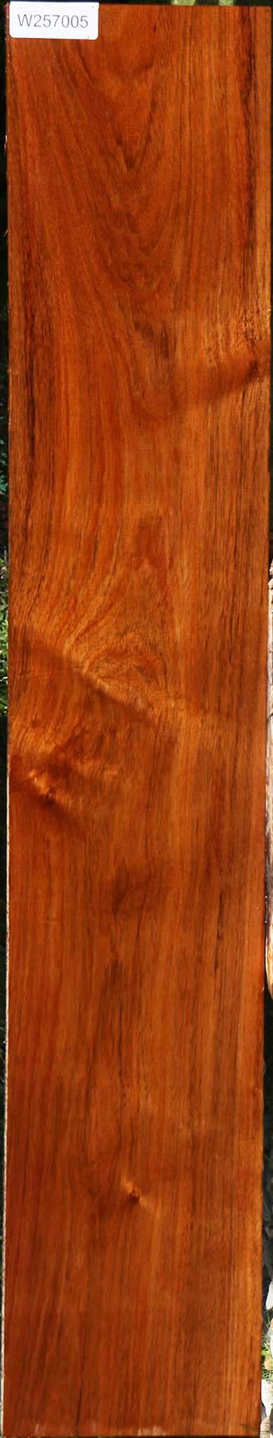 Figured Tzalam Lumber