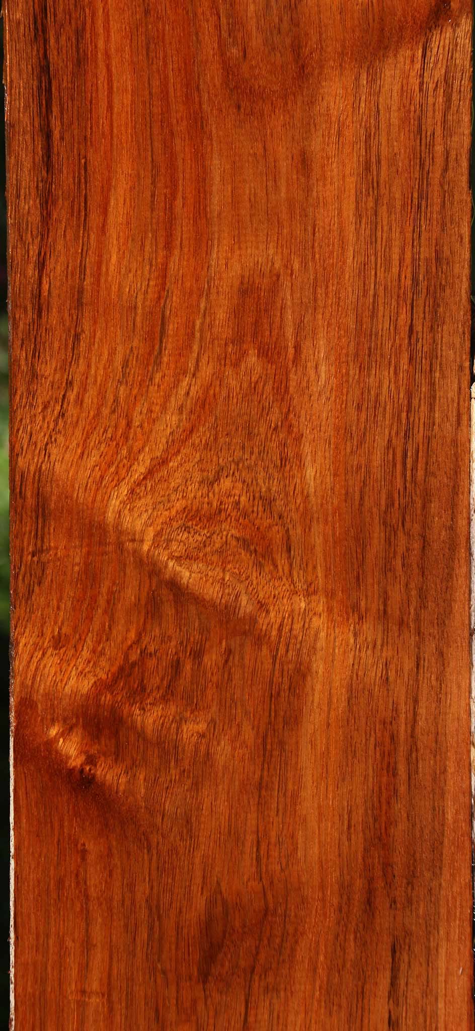 Figured Tzalam Lumber