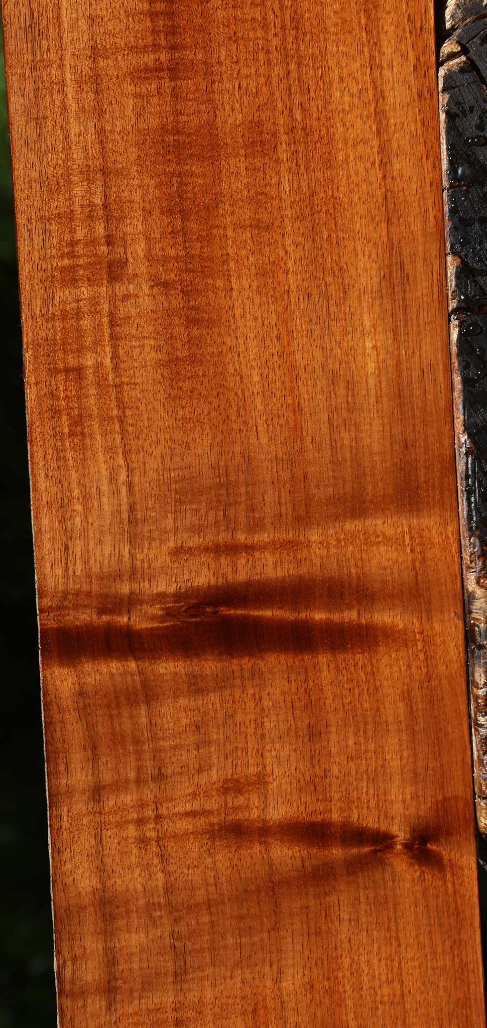 Extra Fancy Tzalam Lumber