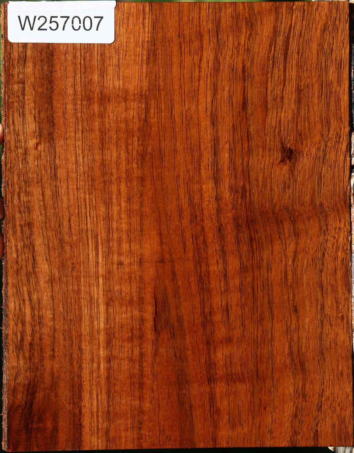 Figured Tzalam Lumber