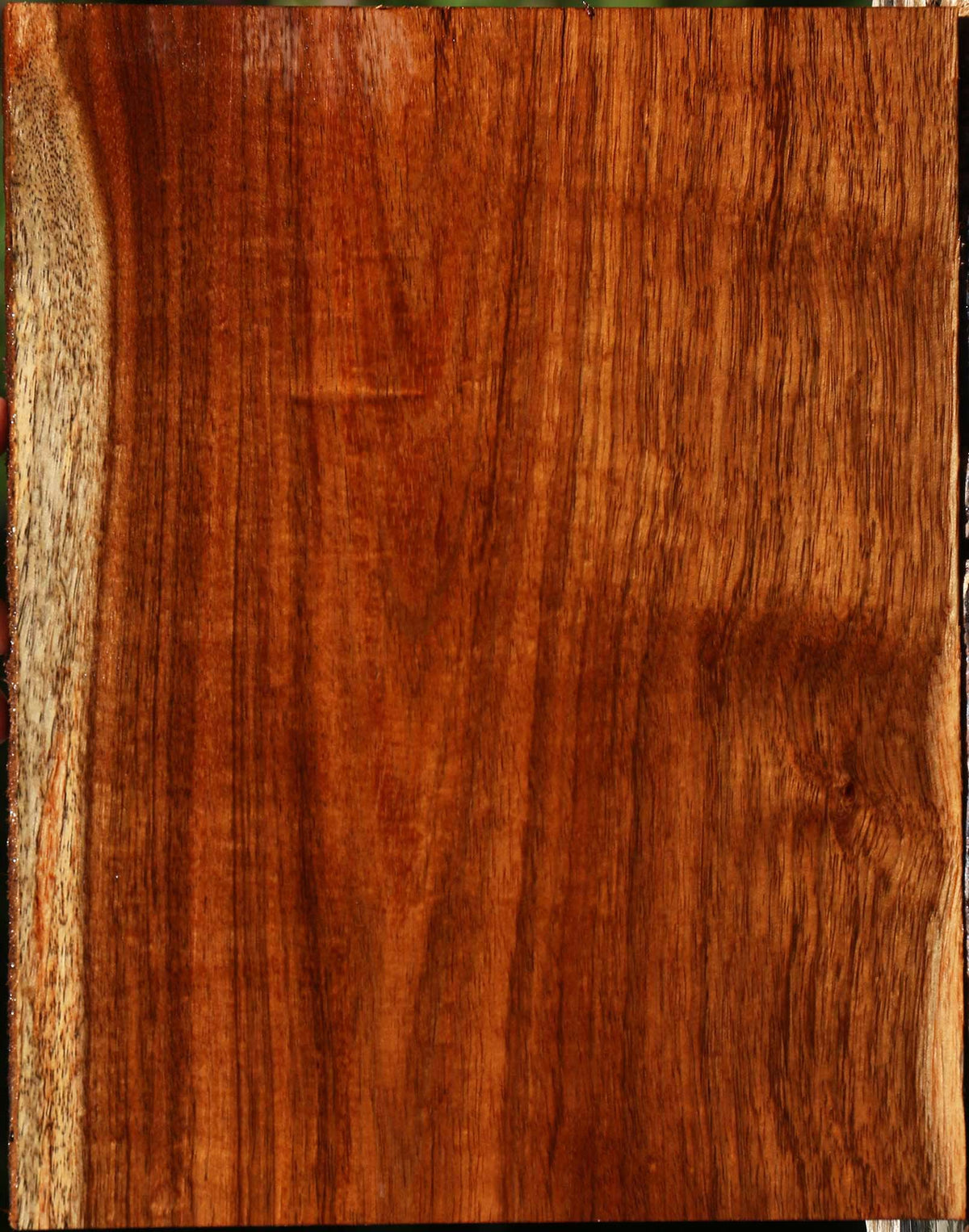 Figured Tzalam Lumber