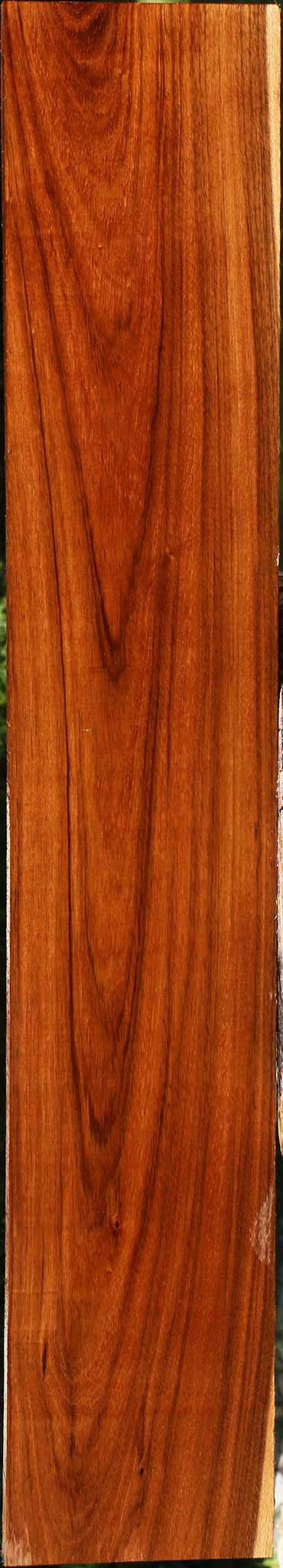 Tzalam Lumber
