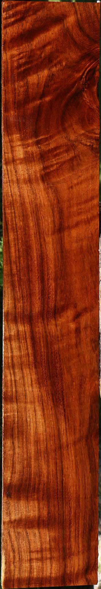 Extra Fancy Tzalam Lumber