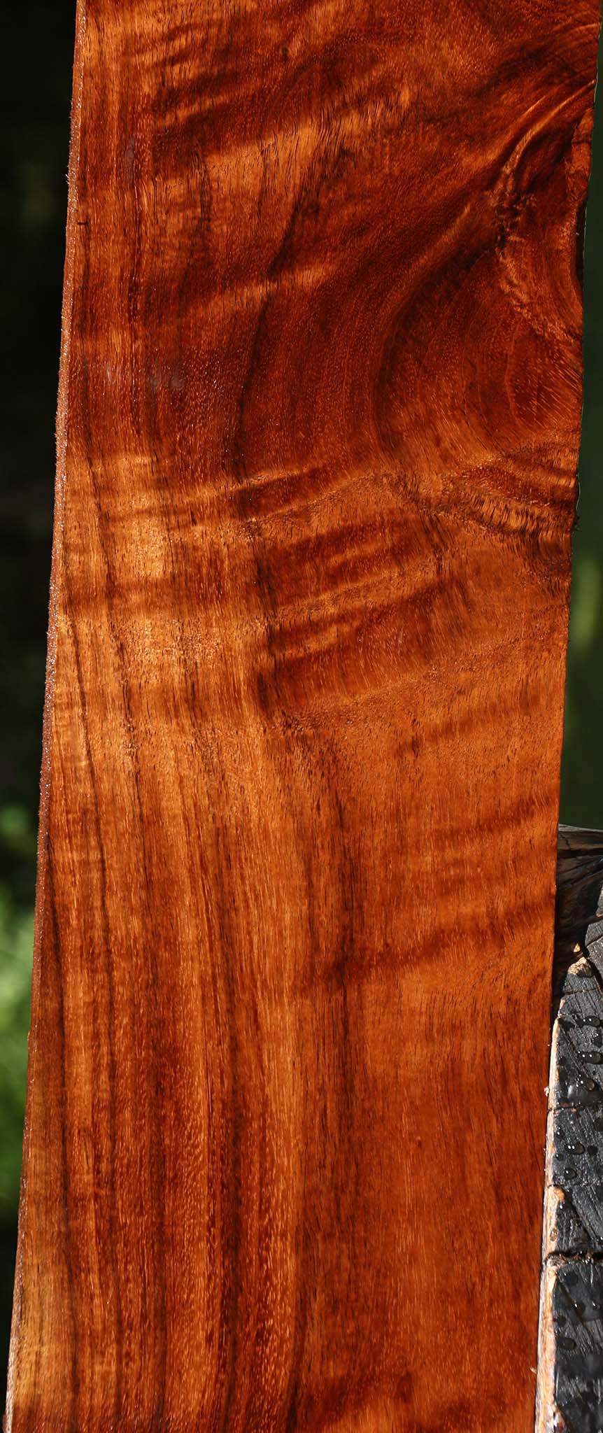 Extra Fancy Tzalam Lumber