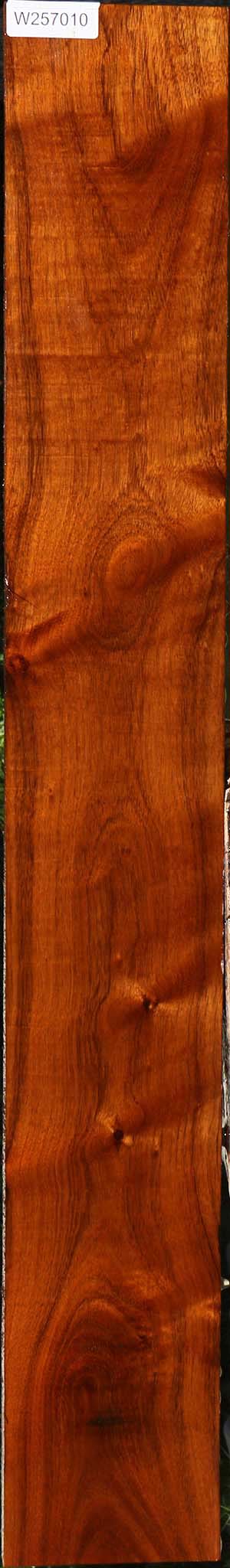 Figured Tzalam Lumber