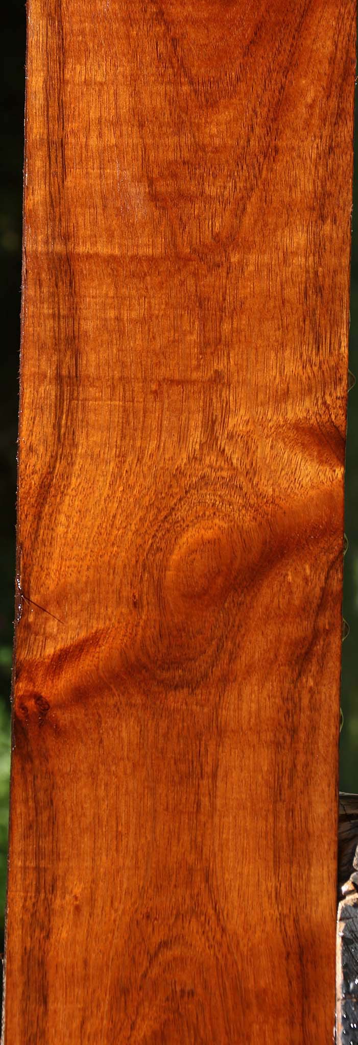 Figured Tzalam Lumber