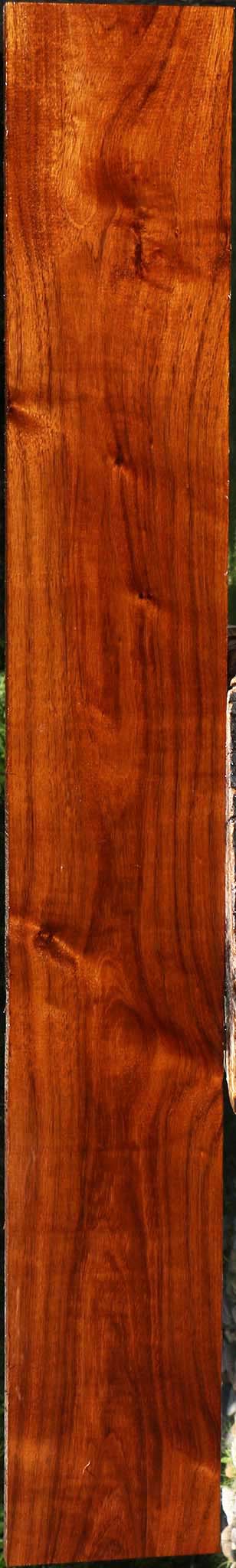 Figured Tzalam Lumber