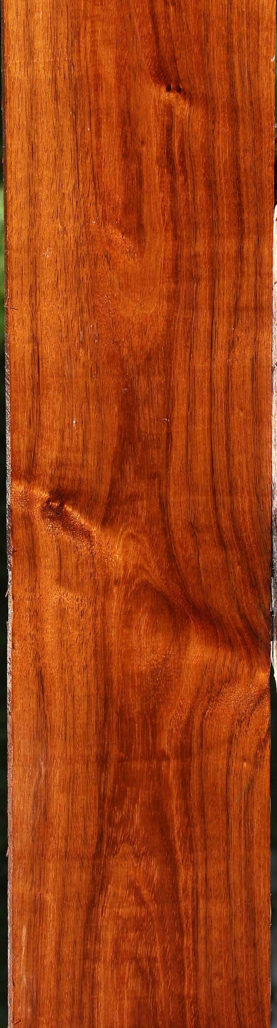 Figured Tzalam Lumber
