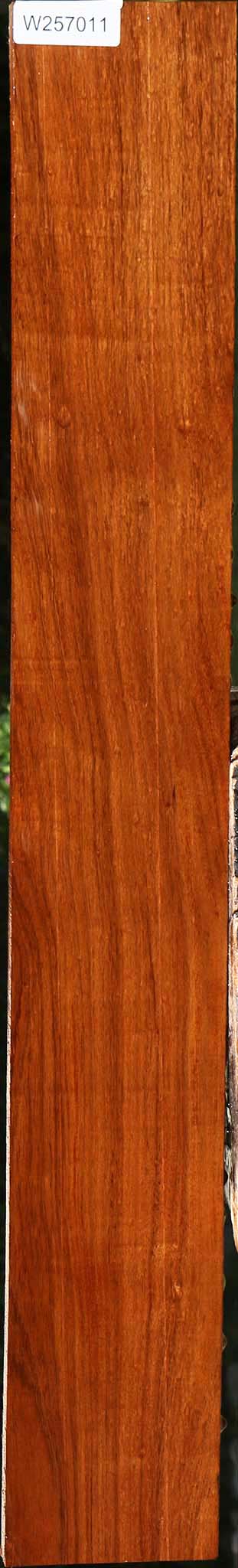 Tzalam Lumber