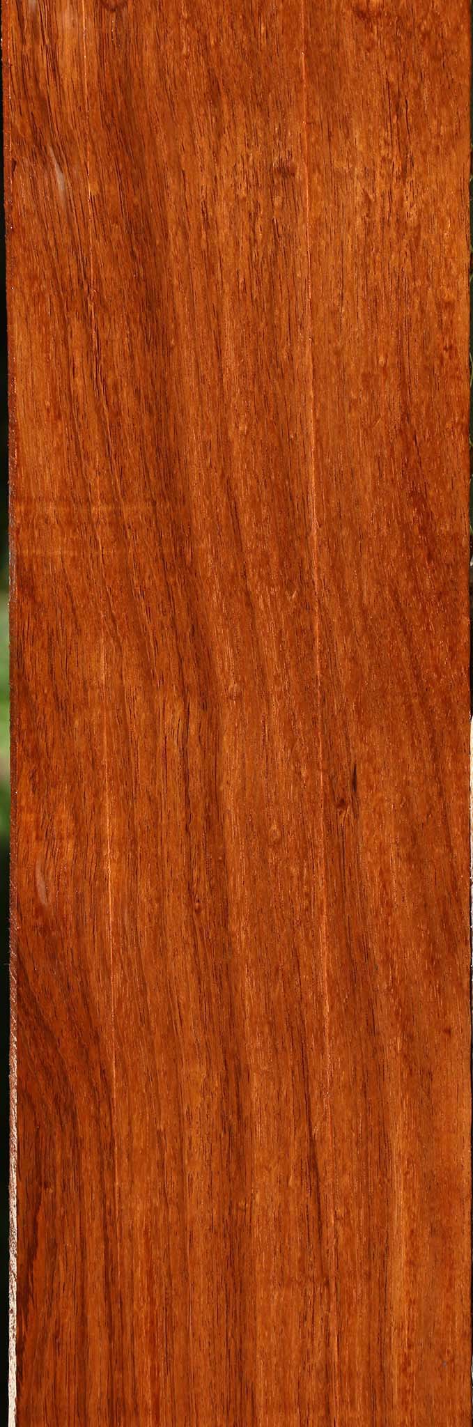 Tzalam Lumber