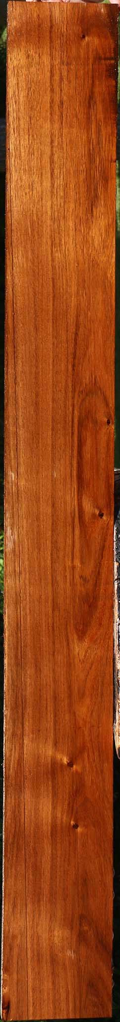 Tzalam Lumber