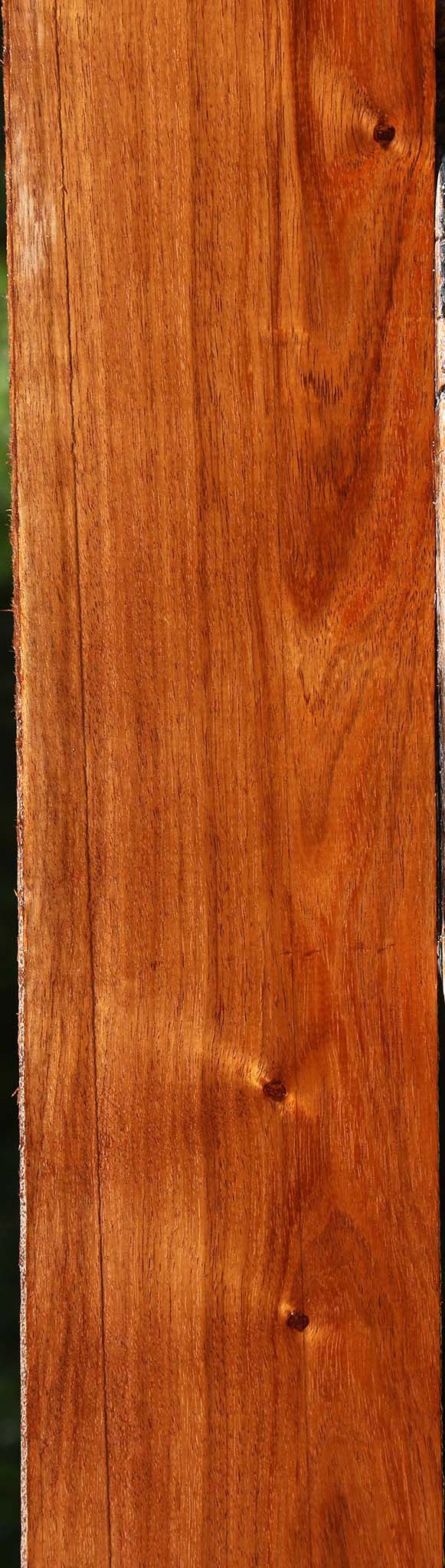 Tzalam Lumber