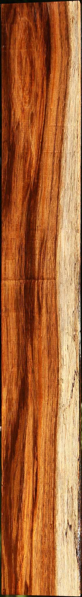 Tzalam Lumber