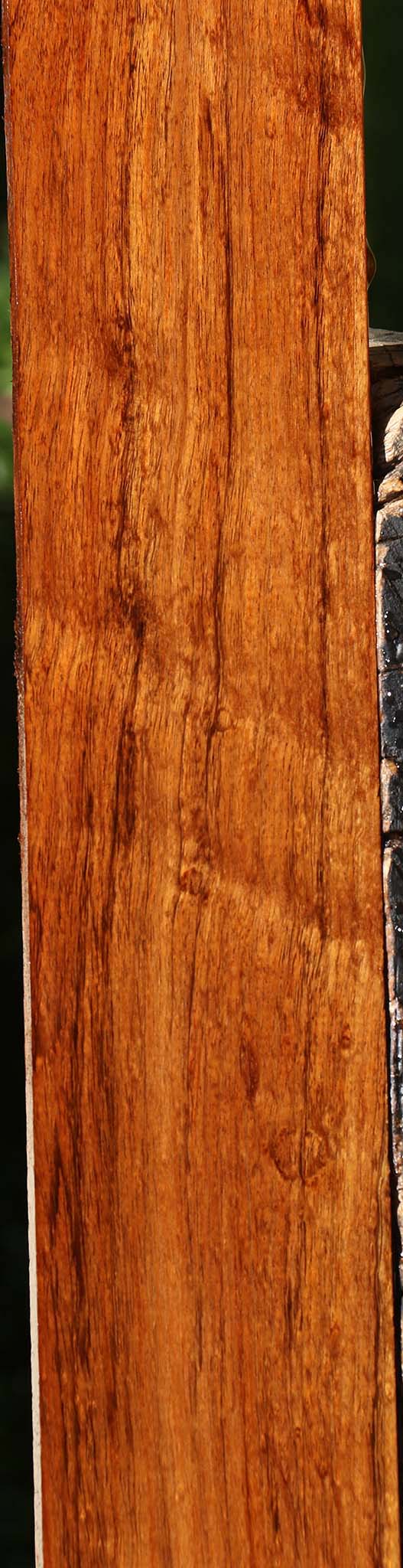 Extra Fancy Tzalam Lumber