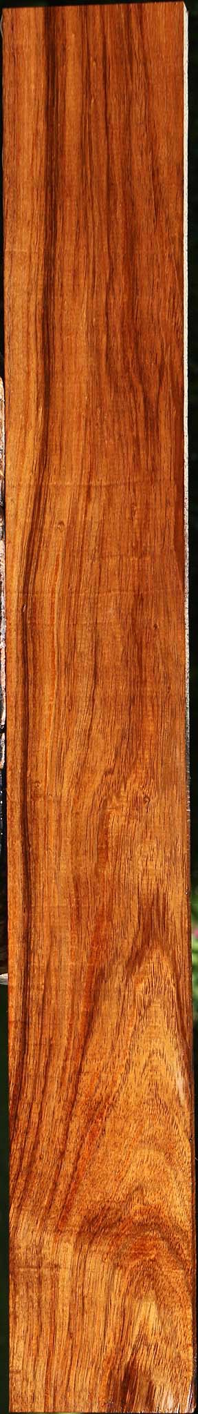 Tzalam Lumber
