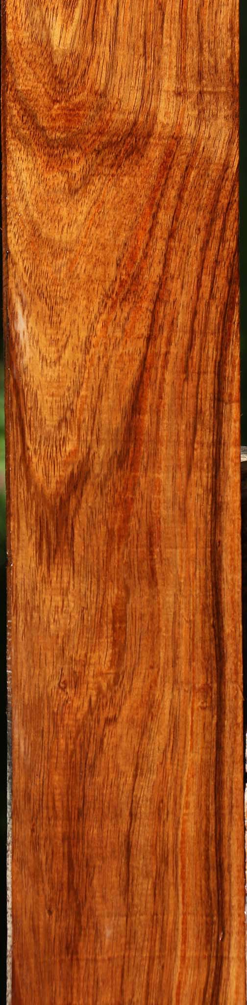 Tzalam Lumber