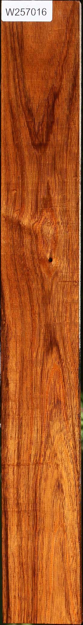 Tzalam Lumber