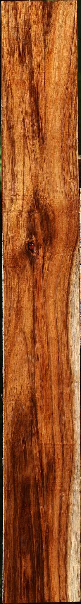 Tzalam Lumber