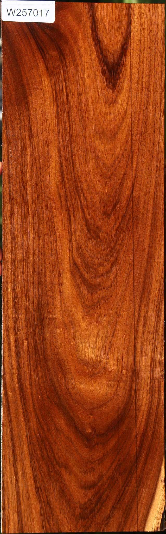 Figured Tzalam Lumber