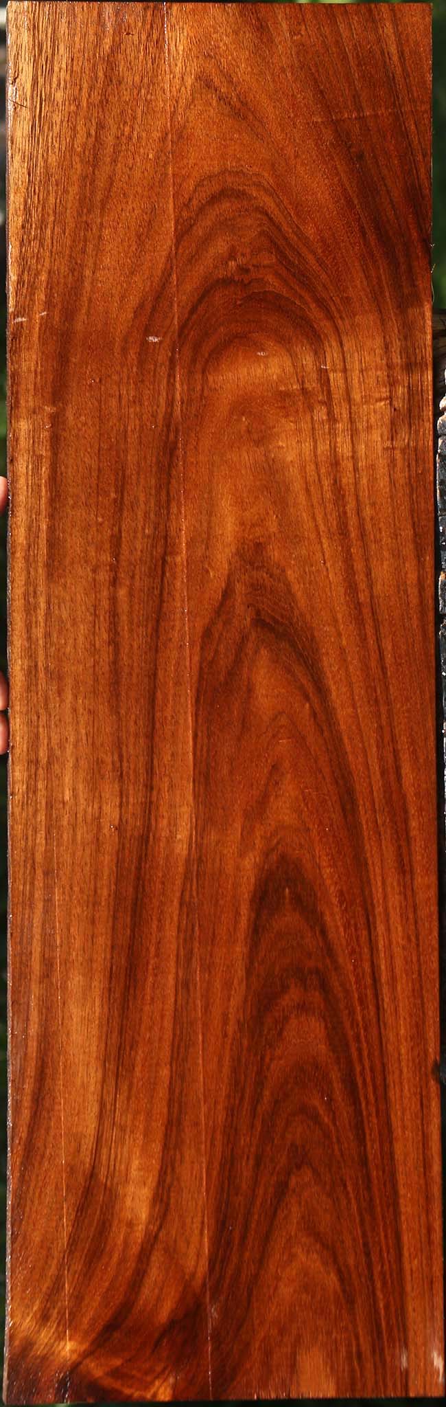 Figured Tzalam Lumber